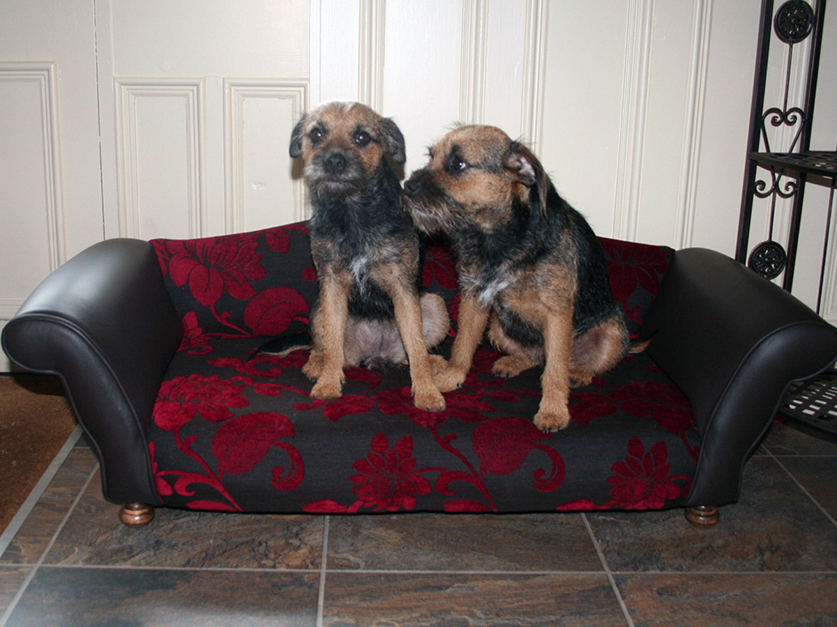 bespoke-dog-bed